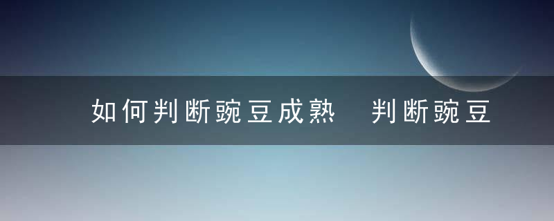 如何判断豌豆成熟 判断豌豆成熟与否的方法